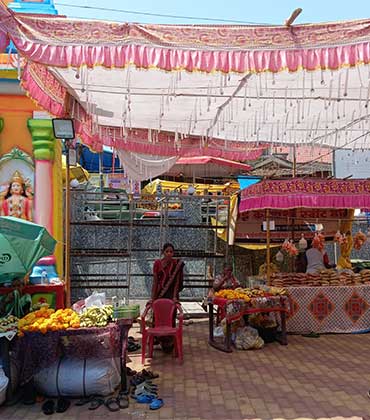  ८७ वी पुण्यतिथी व शिशिरोत्सव